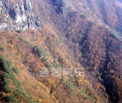 항공촬영(월악산) 의 사진