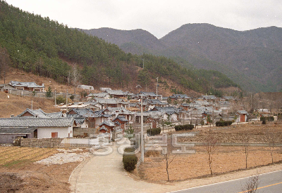 보은한옥마을전경 의 사진