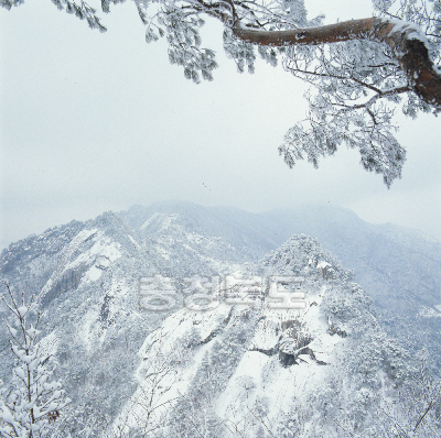 월악산4계(겨울) 의 사진
