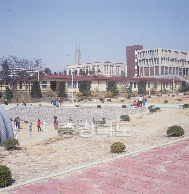 충북대학교 캠퍼스 의 사진