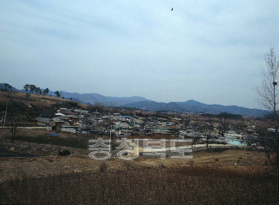 옥천읍 인근마을 사진