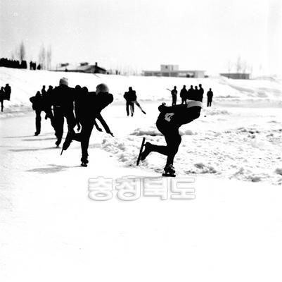 빙상대회 의 사진