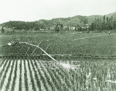 가뭄시 양수기 이용 물대주기 1978 청원 오창 사진