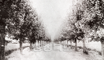 음성-장호원간도로1932 의 사진