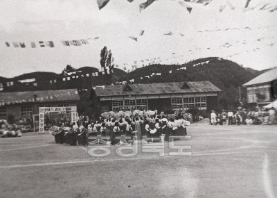 진천초평초등학교운동회1959 의 사진