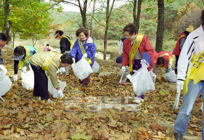 간부 부인회 자연정화 활동 의 사진