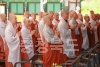불기2560년 부처님오신날 봉축법요식 의 사진