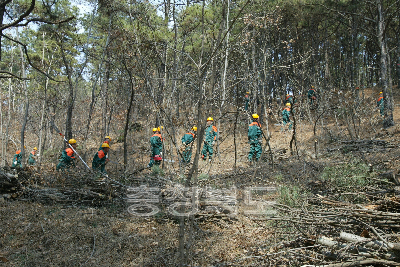 2005년 숲다운 숲 정비사업 발대식 의 사진