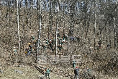 2006 숲 가꾸기 발대식 의 사진