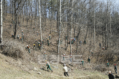 2006 숲 가꾸기 발대식 의 사진