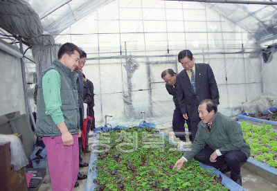 청정채소 재배 농가 방문 의 사진