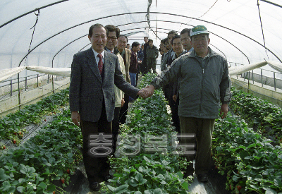 딸기재배농가 방문 의 사진