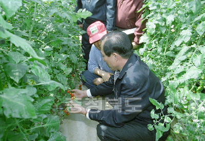 속리산 원예작목회 농가와 대화 의 사진