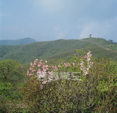 소백산 4계(봄) 의 사진