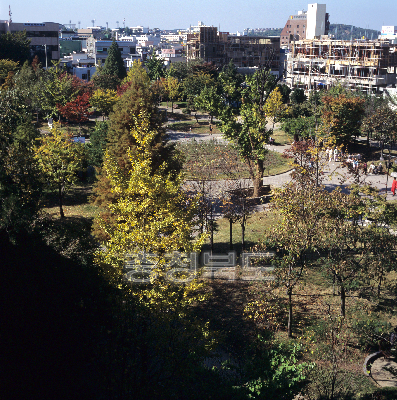 중앙공원 의 사진