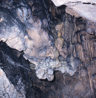 고수동굴 의 사진
