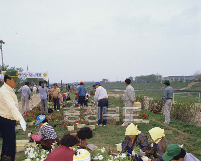 국토공원화 운동 행사 의 사진