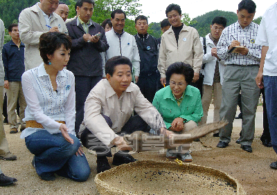 노무현 대통령 한드미 마을 방문 사진