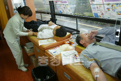 도청 직원 헌혈 사진 사진