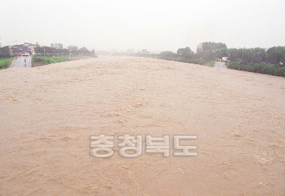 무심천 홍수 의 사진
