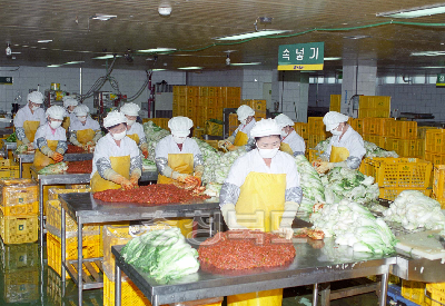 농협초정공장 김치 의 사진