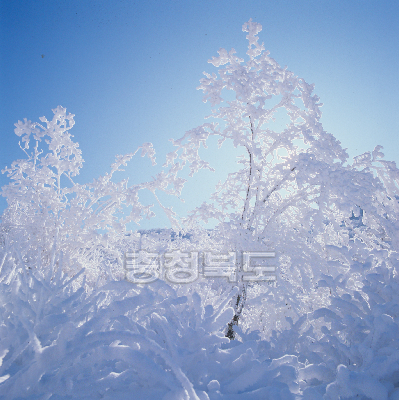 소백산 4계(겨울) 사진