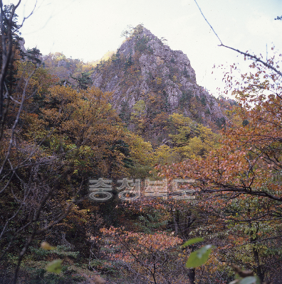 금수산전경(가을) 사진