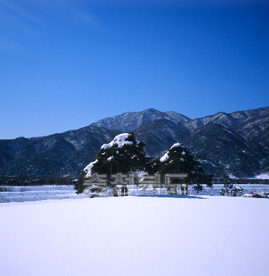 금수산전경(겨울) 사진