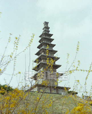 중앙탑 사진