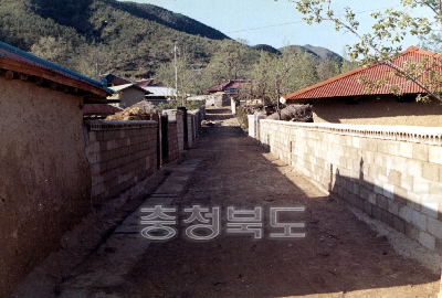 영동군 황금면 사부리 마을안길확장 의 사진