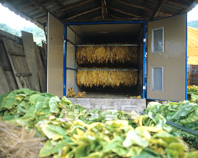 잎담배건조 의 사진