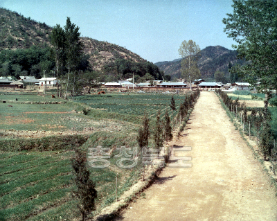 진천군 문백면 옥성리 마을진입로 의 사진