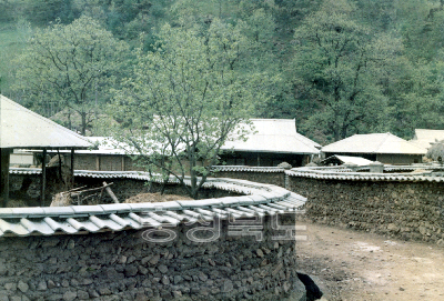 옥천군 안남면 연주리 마을안길 및 담장개보수장면 사진