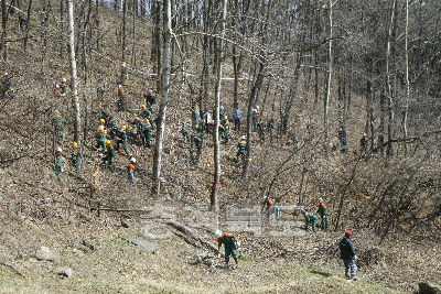 2006 숲가꾸기 발대식 의 사진