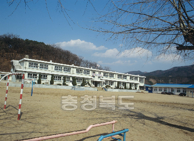 진천 초평초등학교 사진