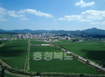 진천읍 전경 사진