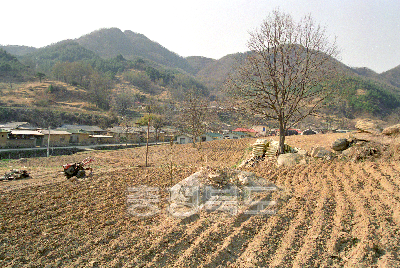 보은 마로 변둔마을 사진