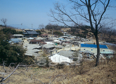 옥천읍 삼청리 상삼부락 사진