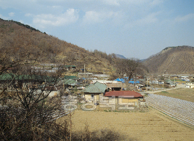 진천읍 금암리 금성부락 사진