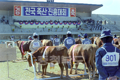 축산진흥대회 시상식 의 사진