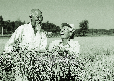 흑수확의기쁨 90년대 사진