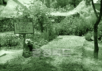 느타리버섯 재배 시범포 1974 중원 동량 조동 사진