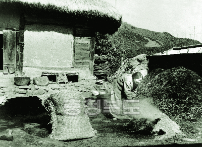 볍씨파종 후 덮어줄 재료를 준비하는 할머니 1970년대 의 사진