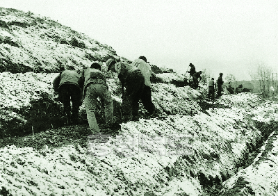 산지개발 계단식 밭 만들기 1969 음성 사진
