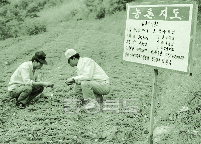 섬바디 생육을 관찰하는 지도원들 1976 충주소태 야동 사진
