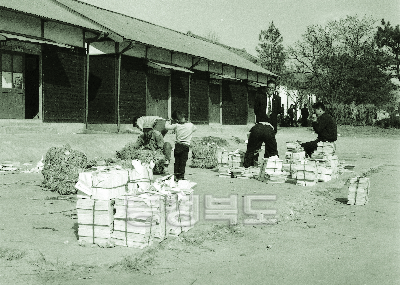 시군 배부용 농업기술 보급용 인쇄물 분류작업 1969 청주 복대 농촌진흥원 의 사진