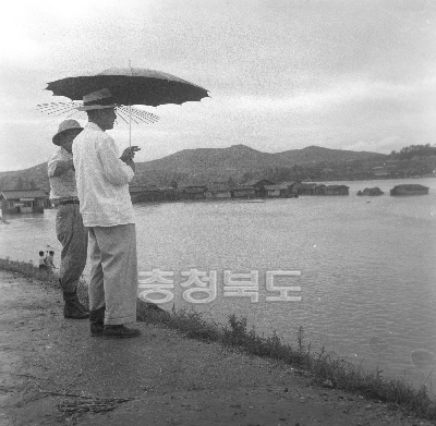 청주무심천홍수 1958.7 사진