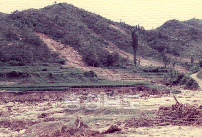 산사태로 매몰된 농경지 사진