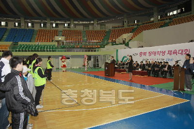 충북장학생 체육대회 사진