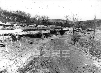 청원군 낭성면 호정마을 1972 의 사진